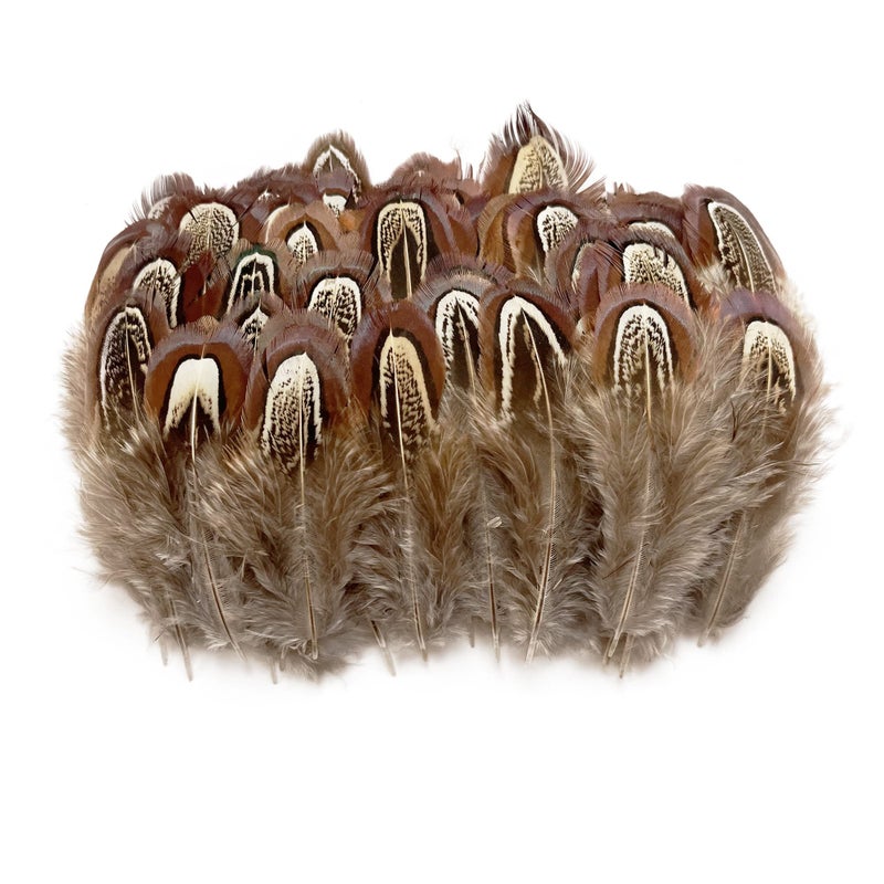 HAPPY FEATHER 100 pcs Natural Pheasant Plumage Feathers 2-3 Inches Plumage Feathers for Sewing Crafts Clothing Decorating Accessories -Nature - Image 1